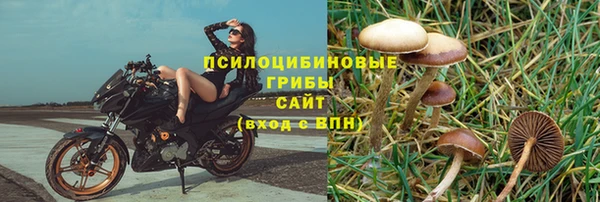PSILOCYBIN Алексеевка