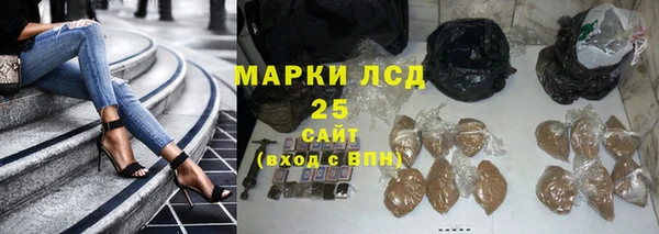 PSILOCYBIN Алексеевка