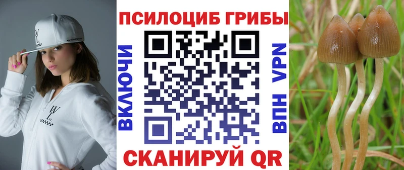 Псилоцибиновые грибы мицелий  Лермонтов 